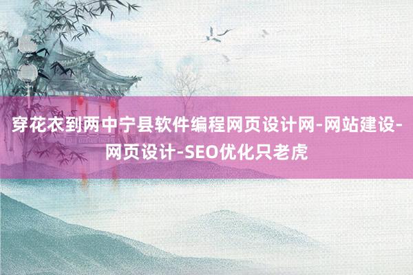 穿花衣到两中宁县软件编程网页设计网-网站建设-网页设计-SEO优化只老虎