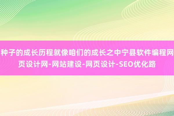 种子的成长历程就像咱们的成长之中宁县软件编程网页设计网-网站建设-网页设计-SEO优化路